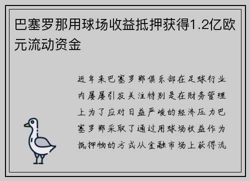 巴塞罗那用球场收益抵押获得1.2亿欧元流动资金